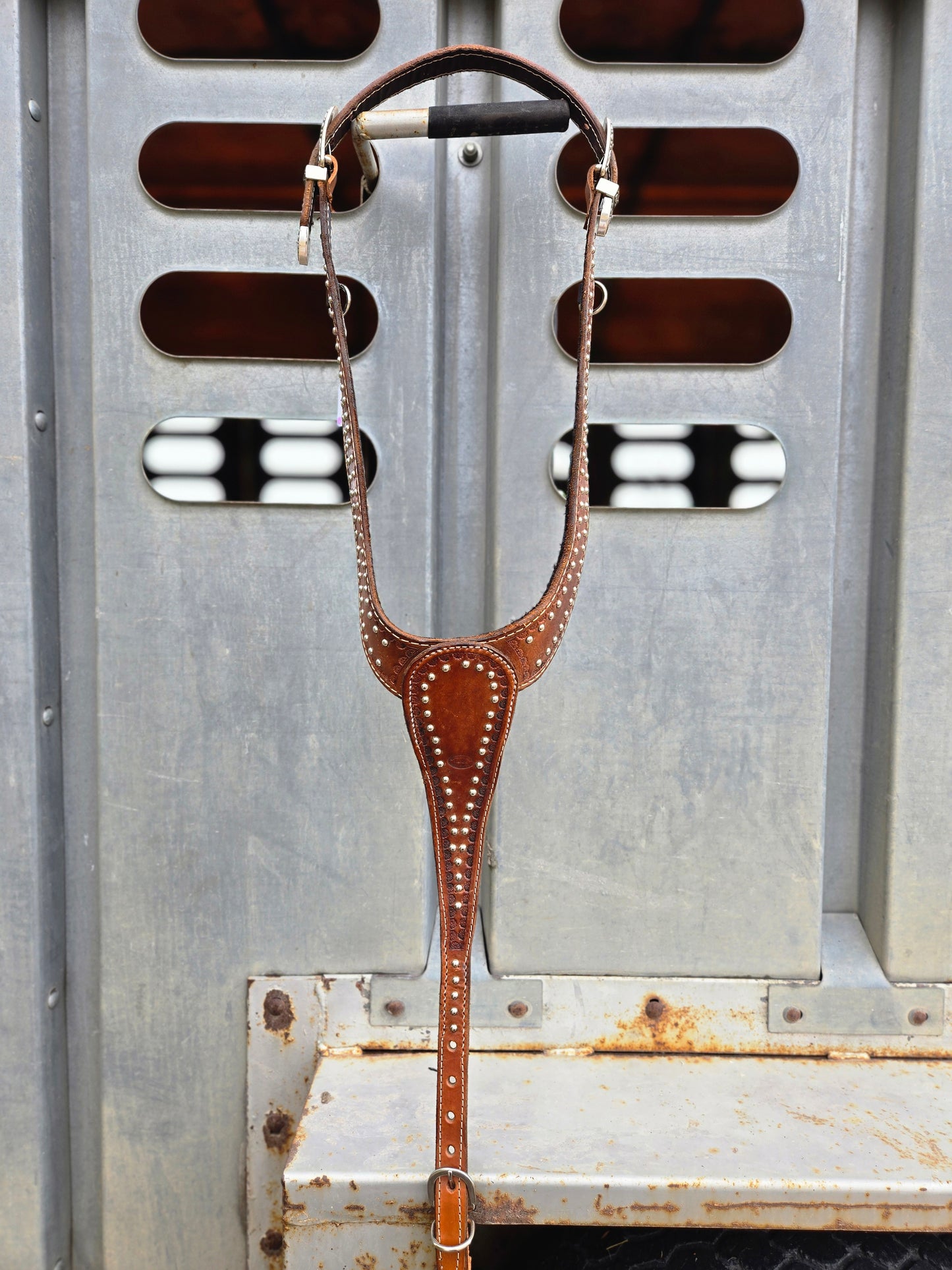 Spotted Martingale