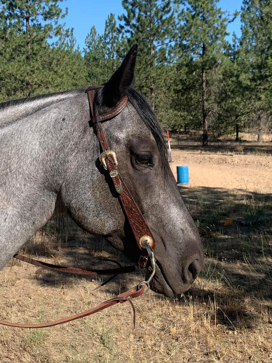 Dark Oak Tooled Headstall