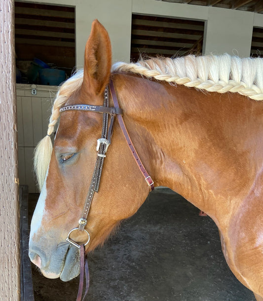 Spotted Draft Headstall