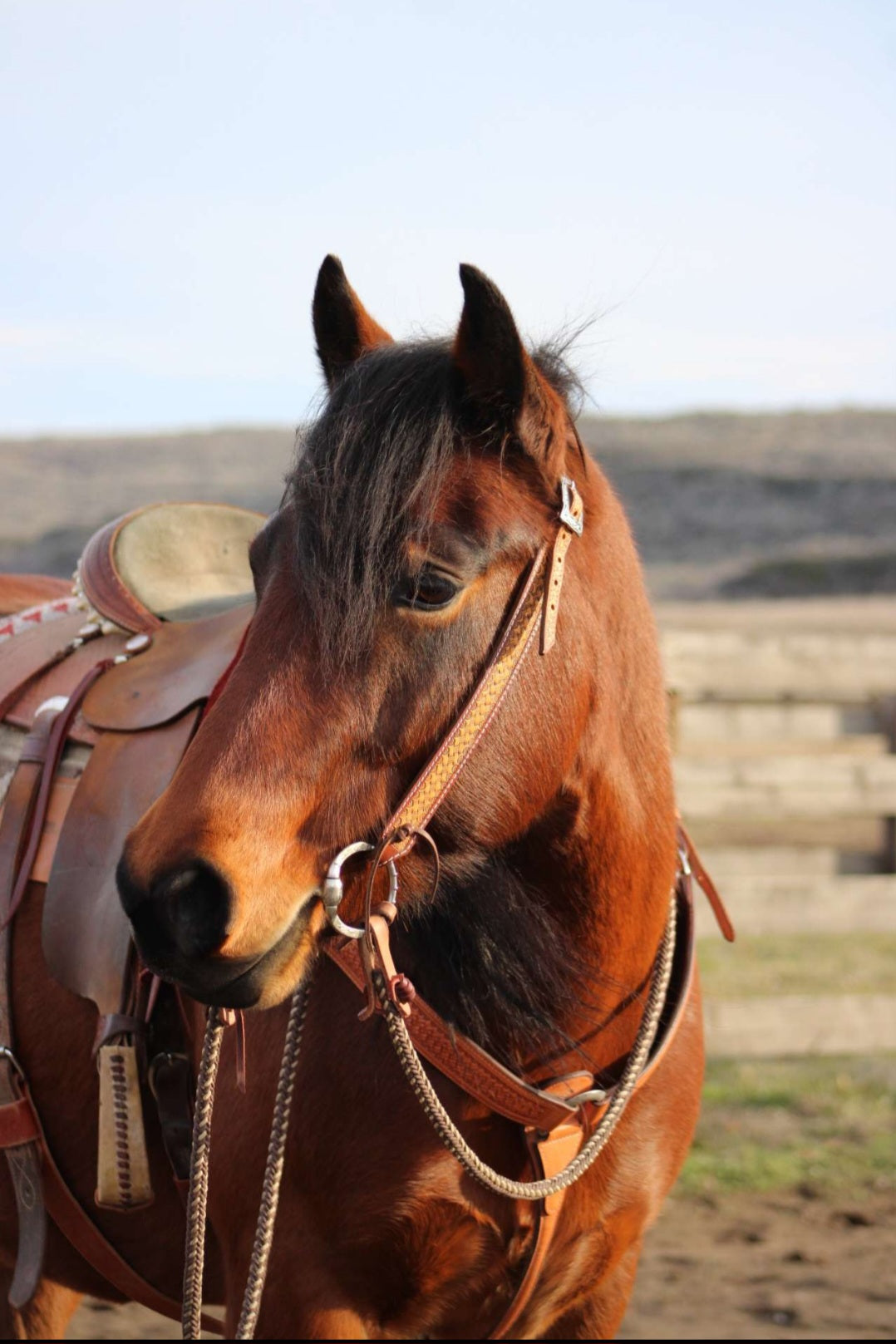 Basketweave Headstall