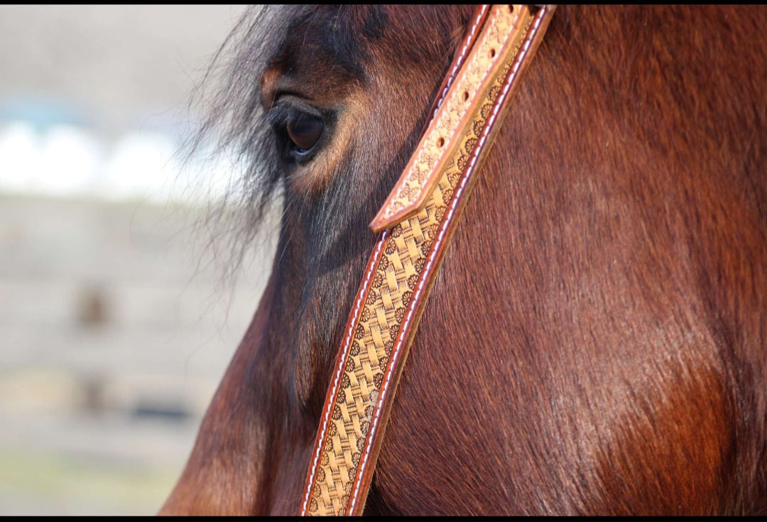 Basketweave Headstall