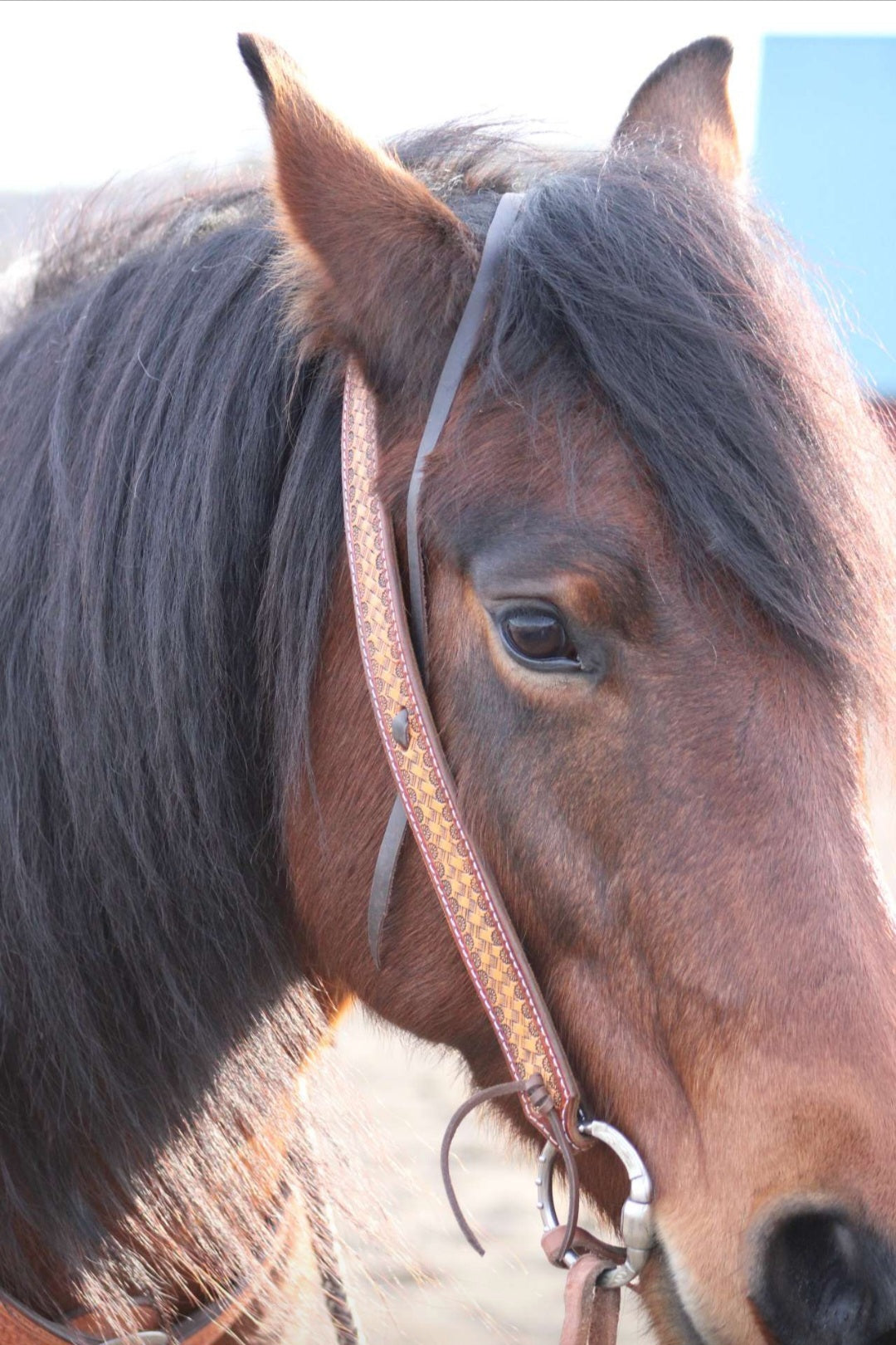 Basketweave Headstall