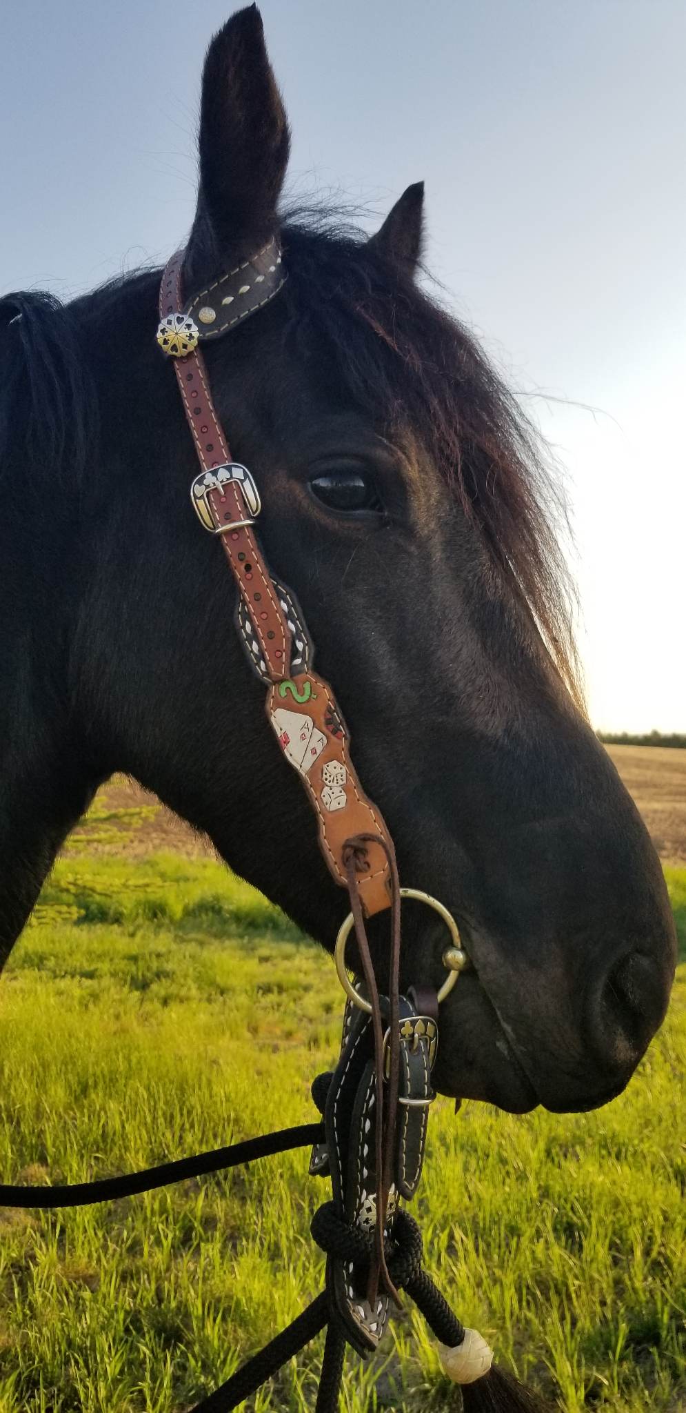 Poker Tack Set #1