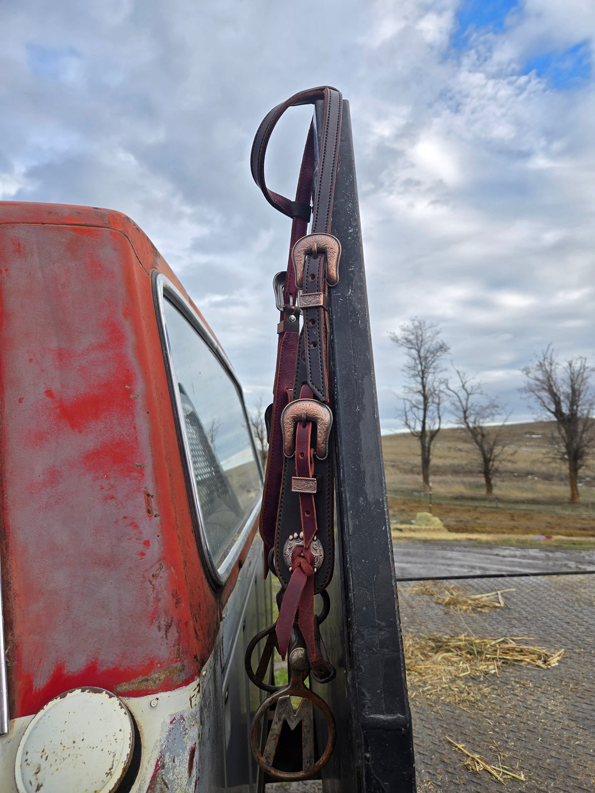 1 Ear Buckle Headstall
