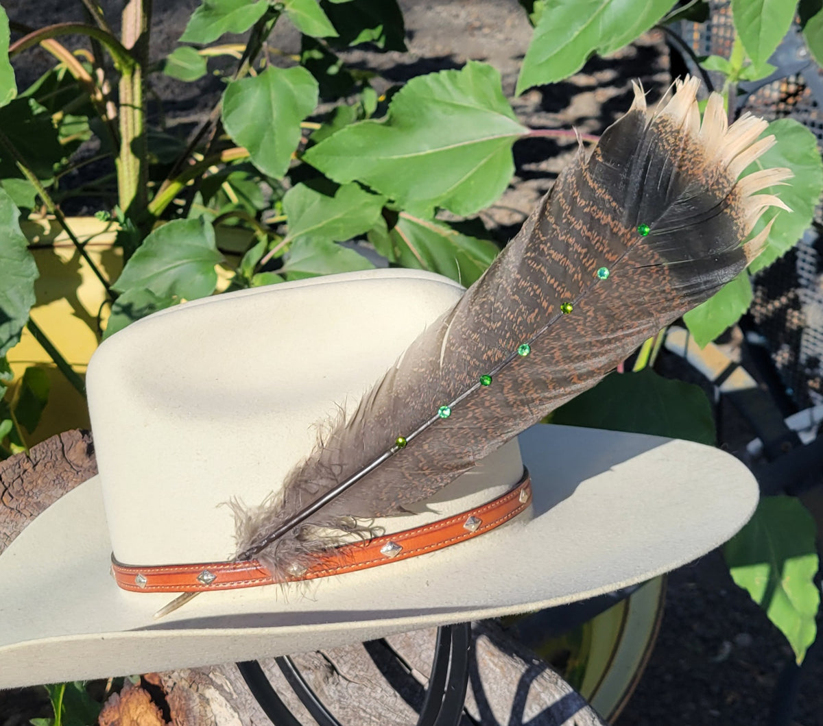 Hat feathers
