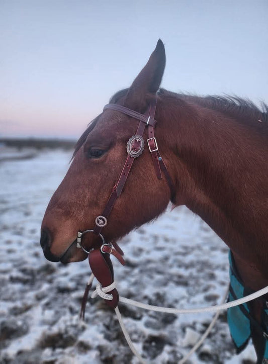 Blood Knot Headstall