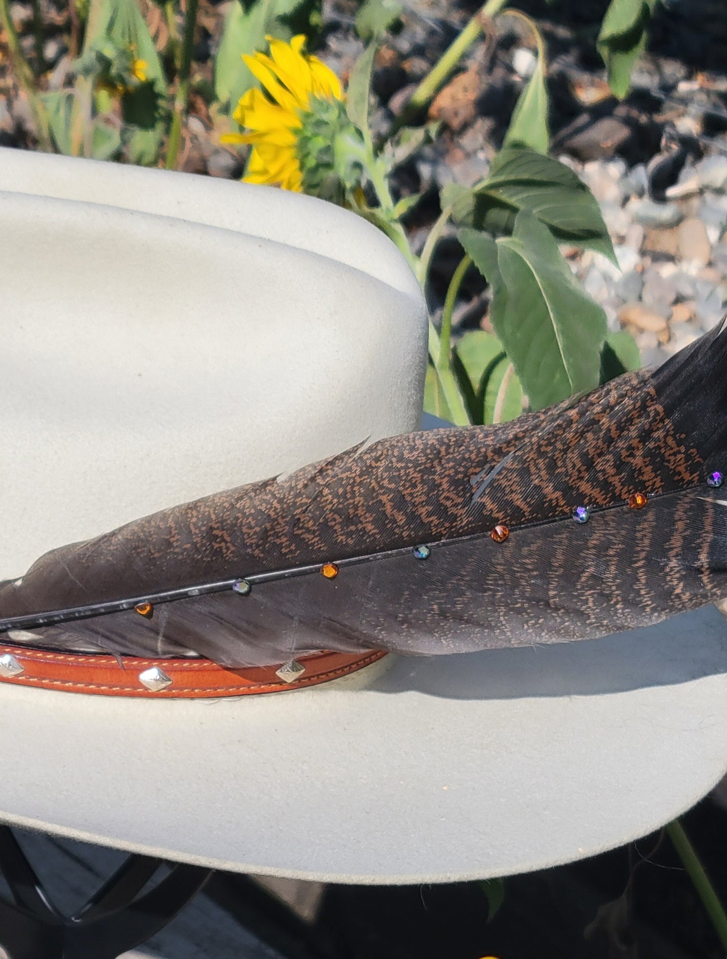 Hat feathers