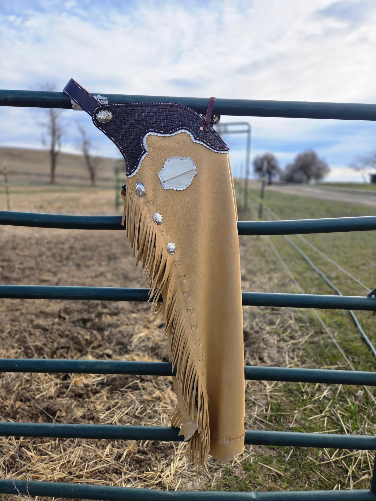 Buckskin Shotgun Chaps