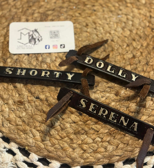 Rope Halter Tags