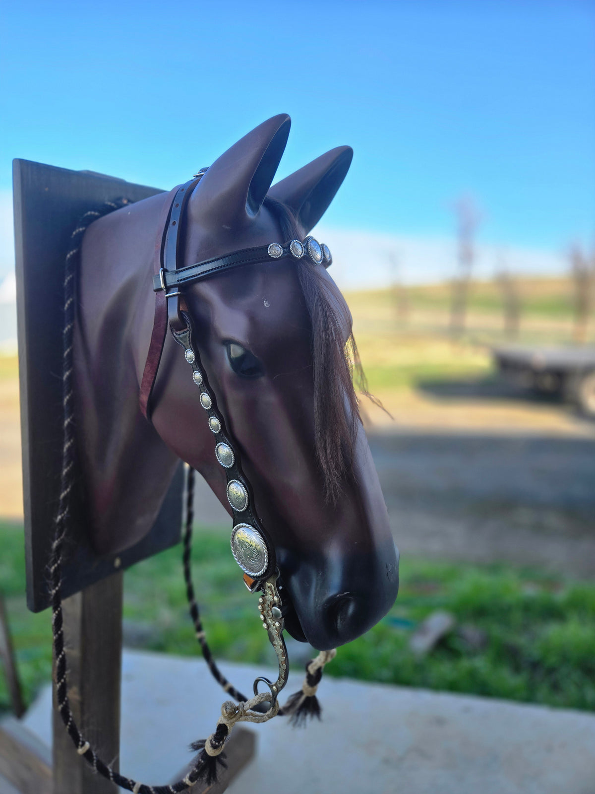 Vintage Large Concho Headstall