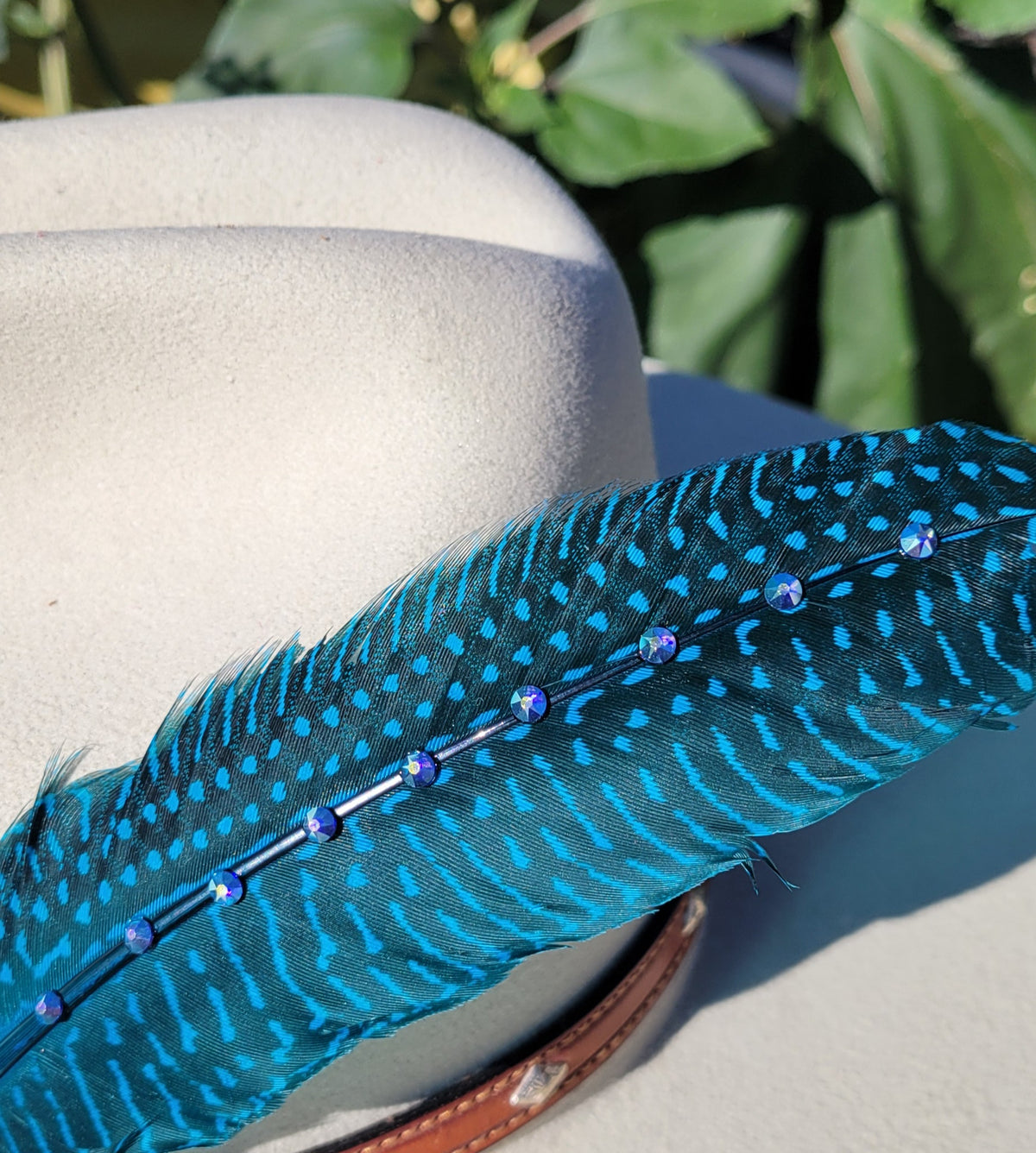 Hat feathers