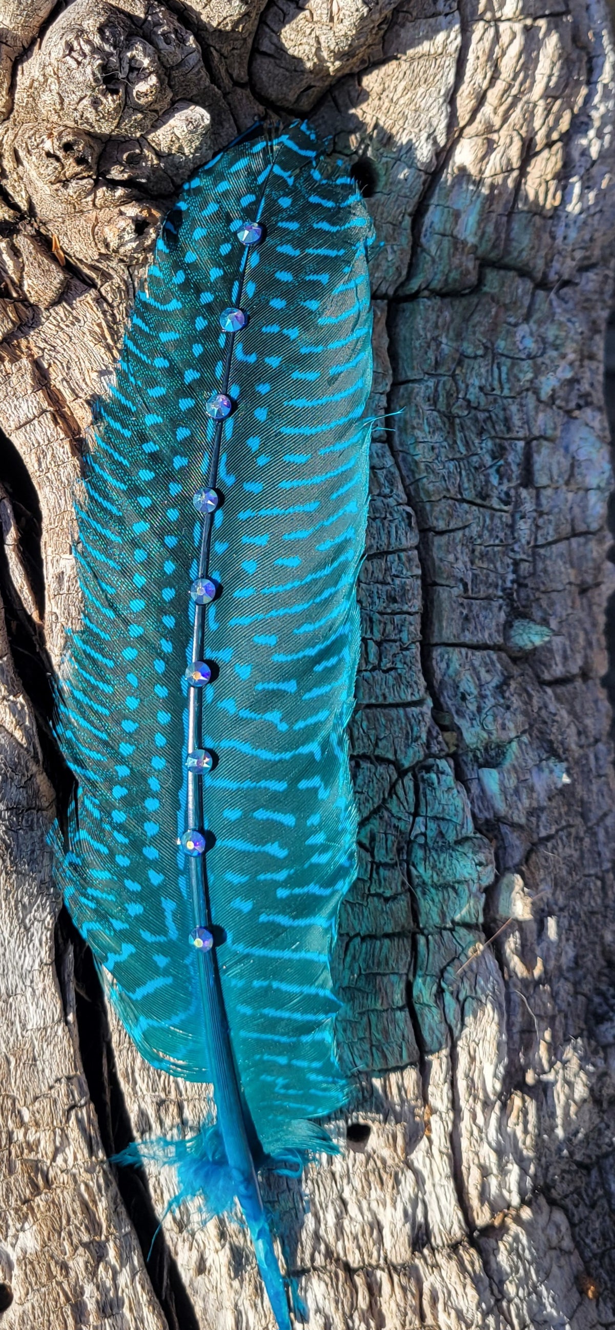 Hat feathers