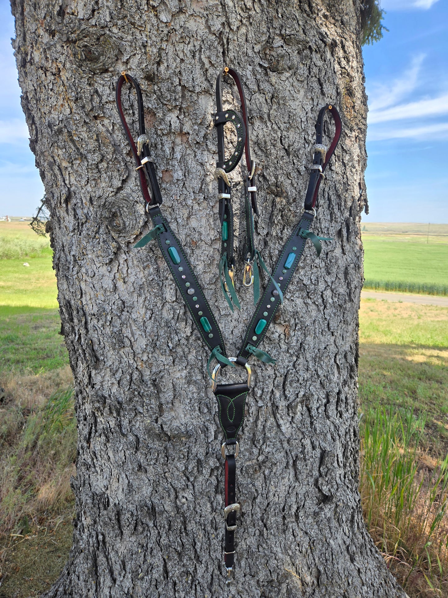Stone Cold Tack Set