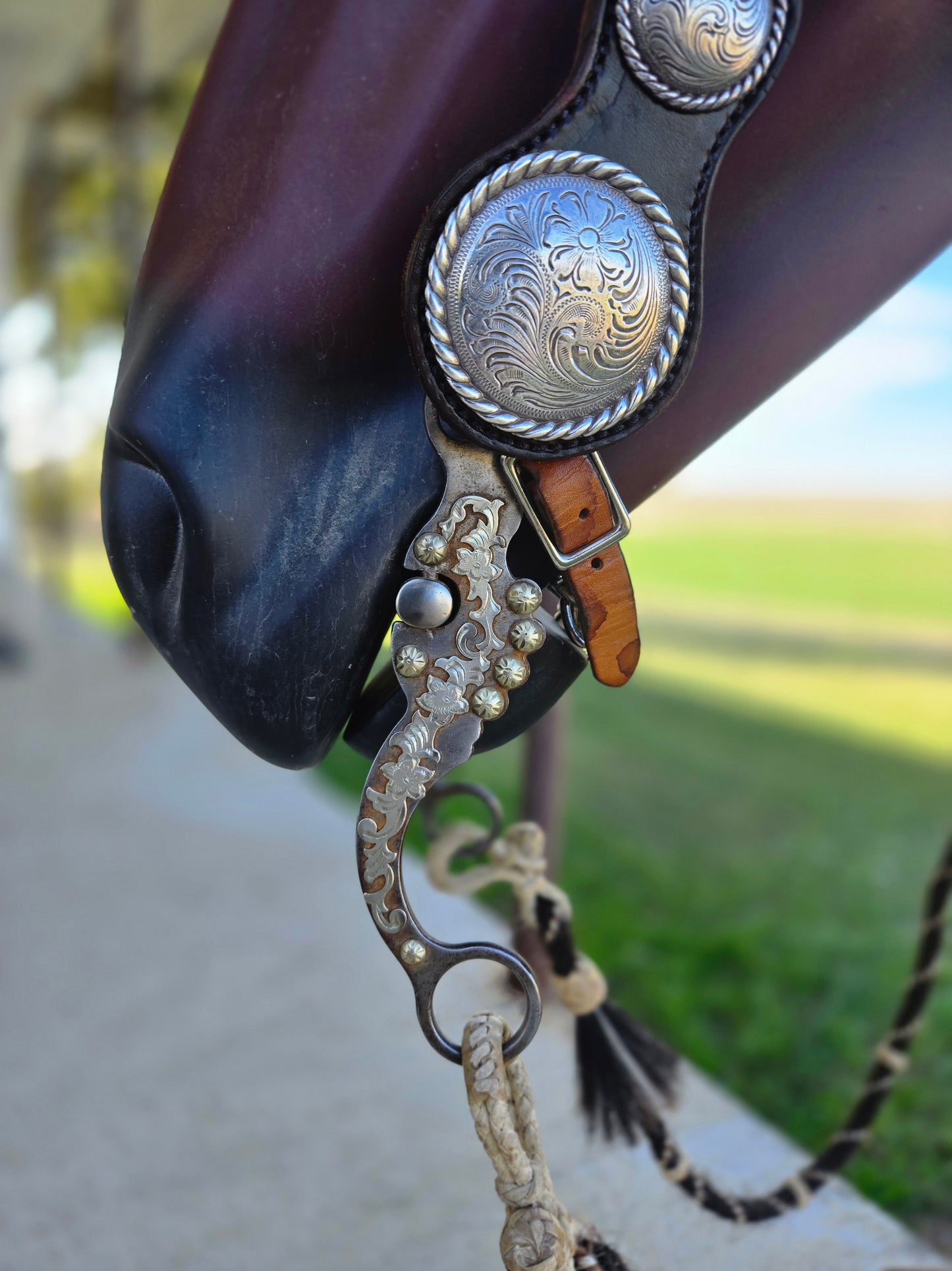 Vintage Large Concho Headstall
