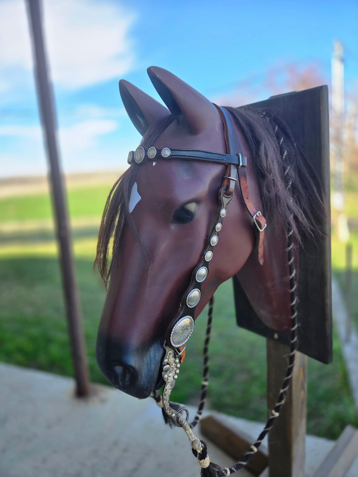 Vintage Large Concho Headstall