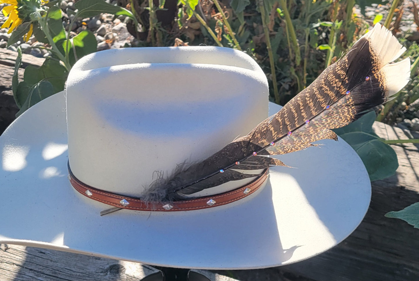 Hat feathers