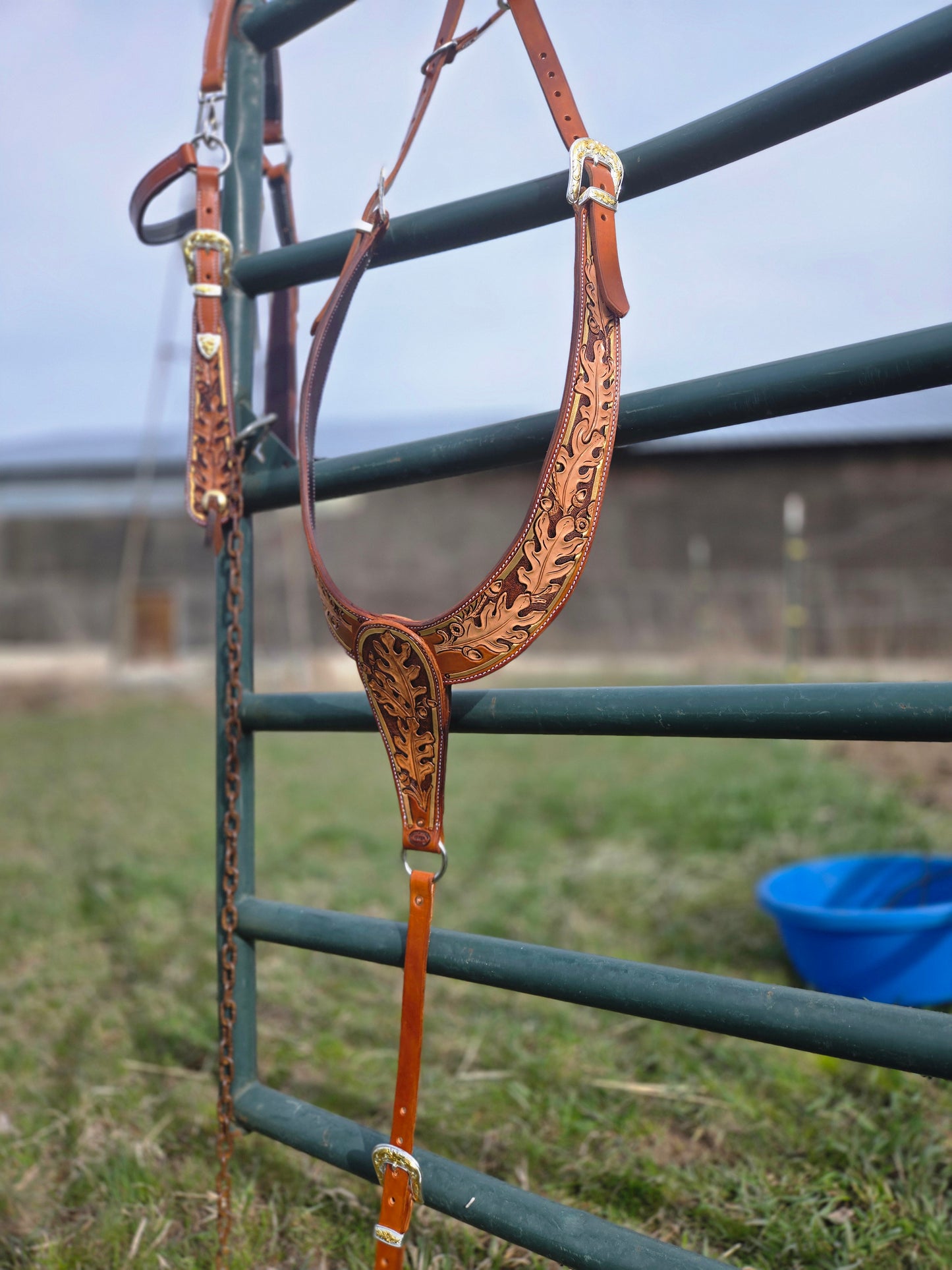 Custom Donkey Sets