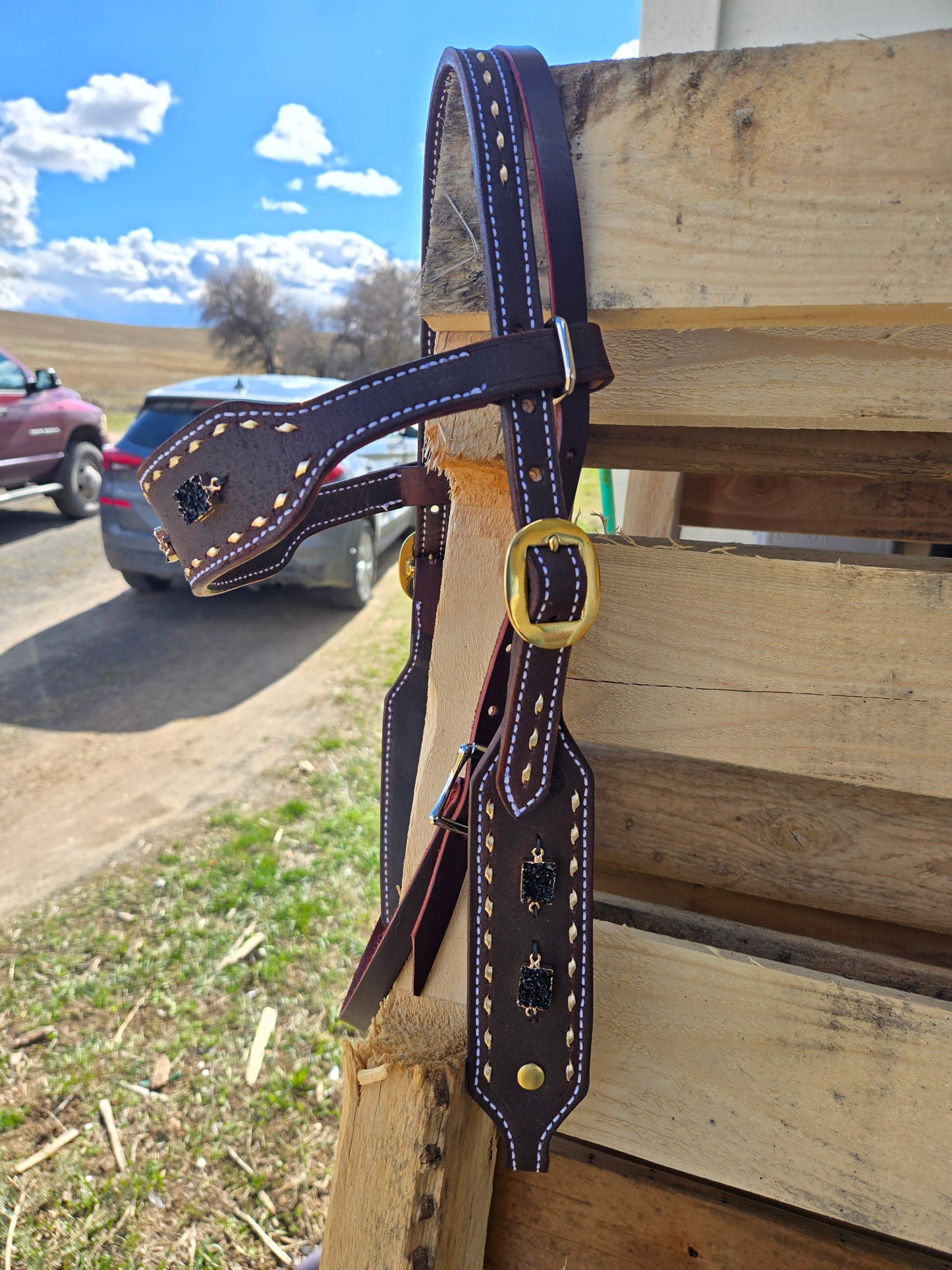 Black Druzy Gag Headstall