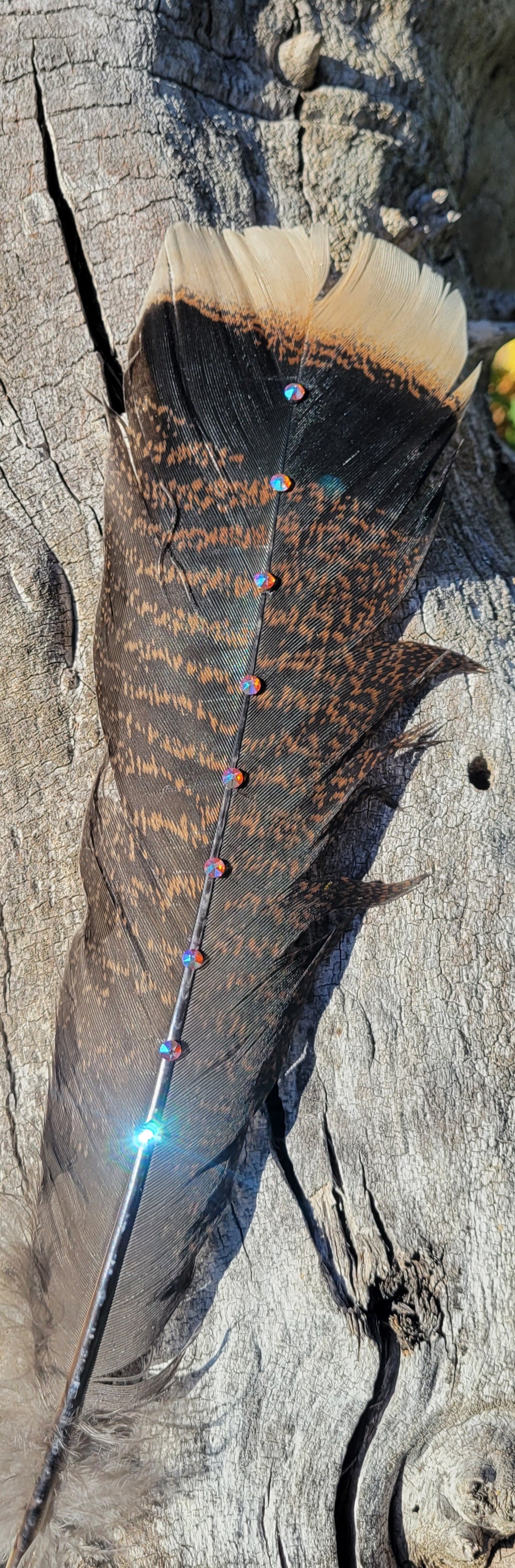 Hat feathers