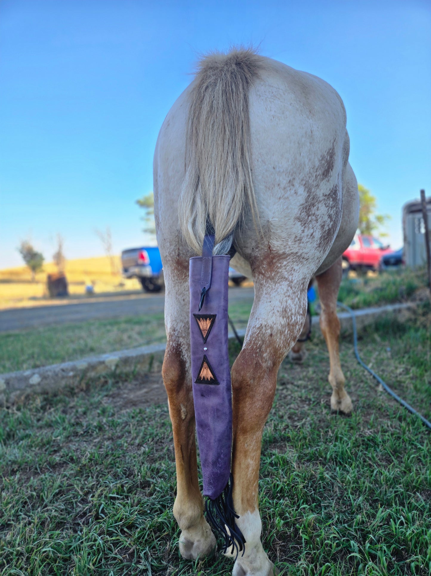 Show Tail Bag