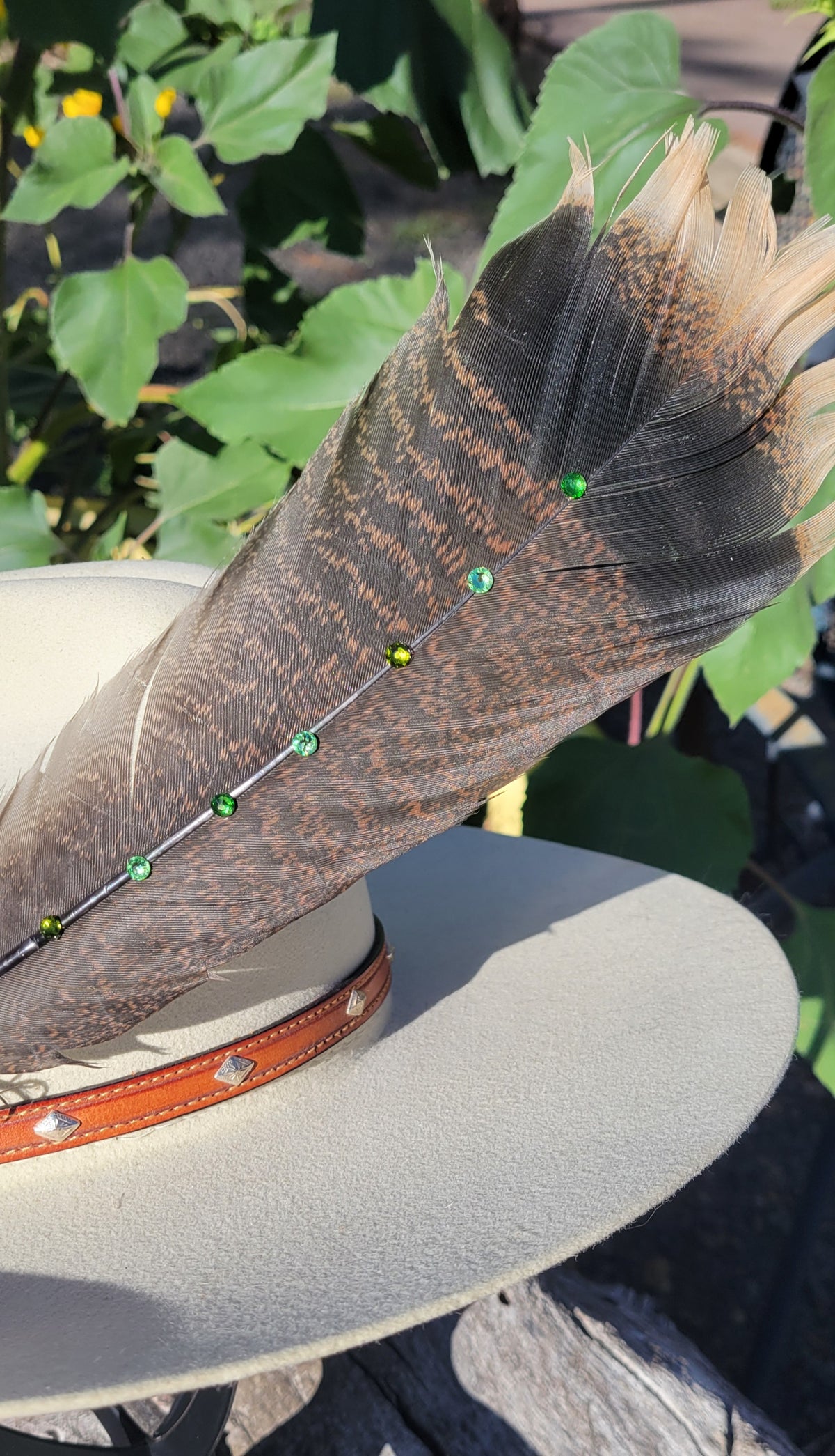 Hat feathers