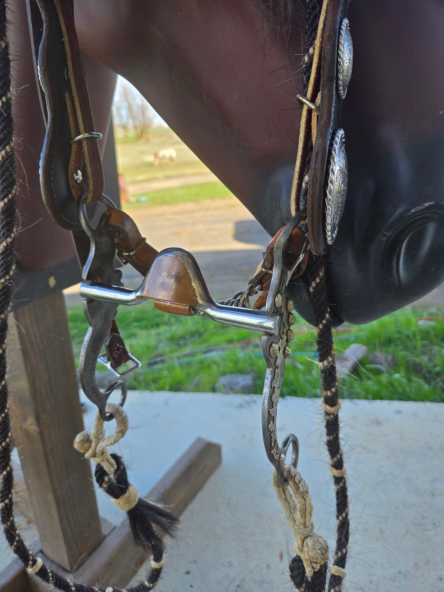 Vintage Large Concho Headstall