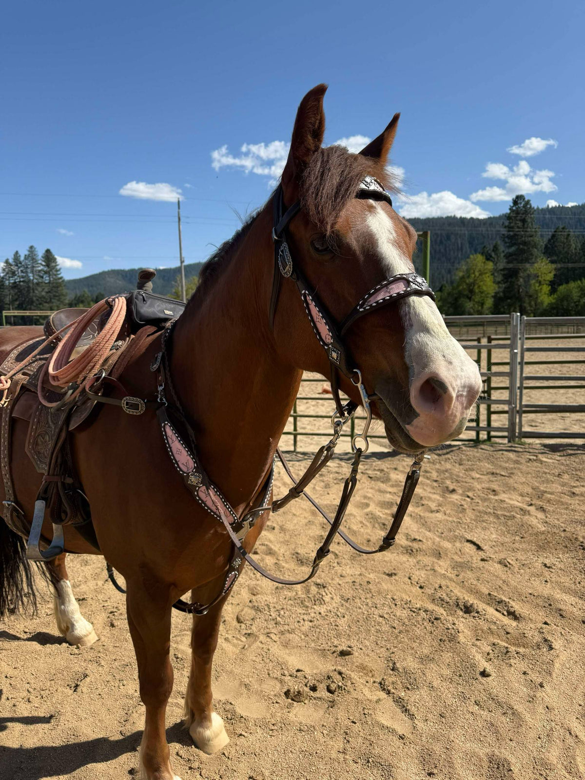 Pink Designer Set