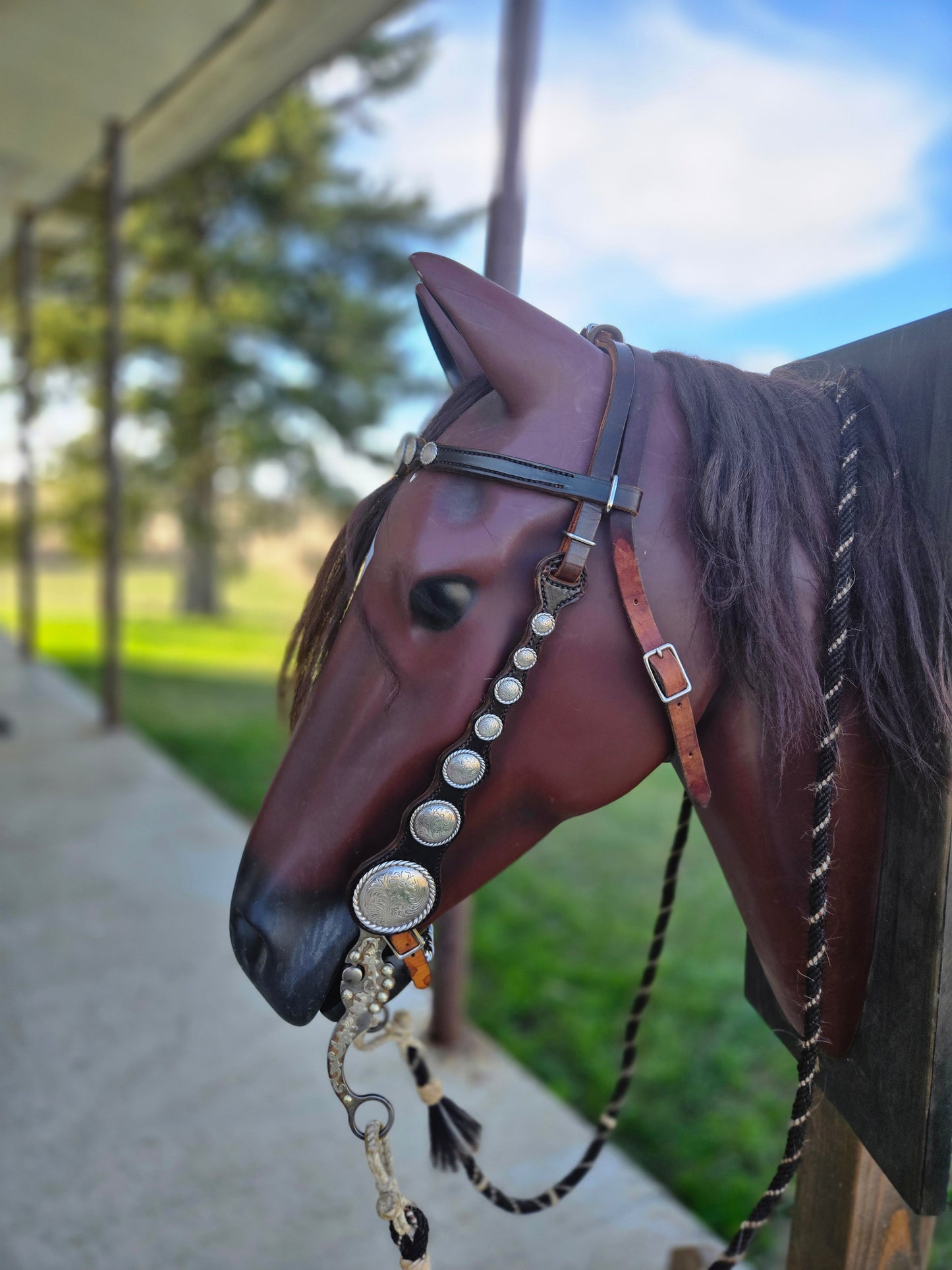 Vintage Large Concho Headstall