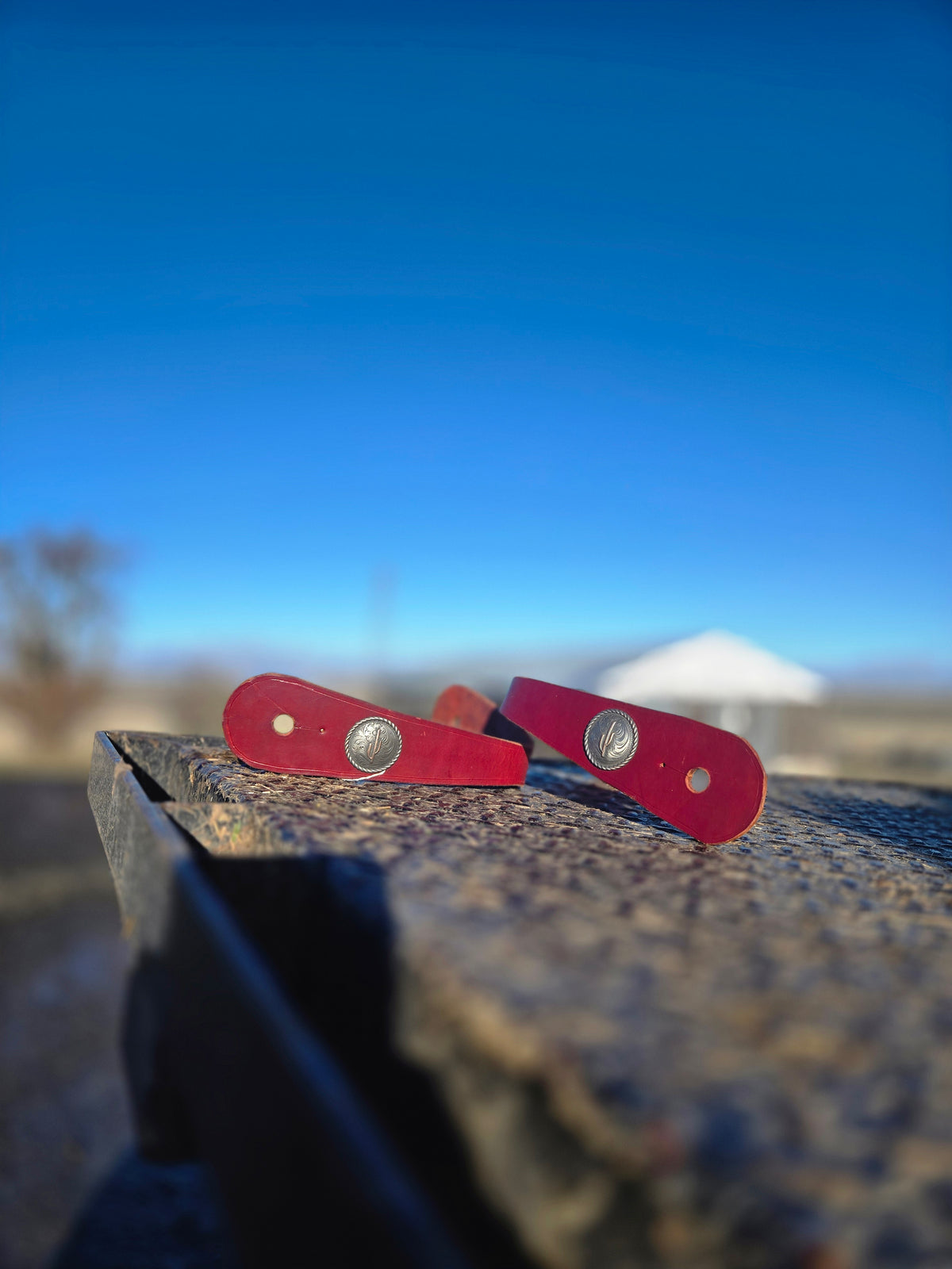 Latigo Slobber Straps